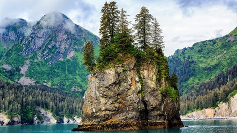 Nature Landscape Forest Mountain