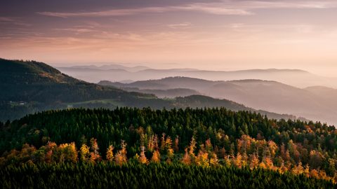 Nature Landscape Forest Mountain