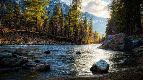 Nature Landscape Forest Mountain