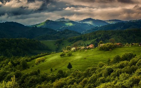 Nature Landscape Forest Mountain