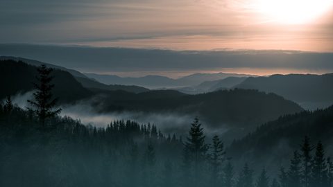 Nature Landscape Forest Mountain