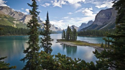Nature Landscape Forest Mountain