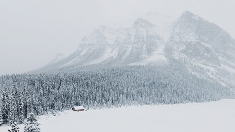 Nature Landscape Forest Mountain