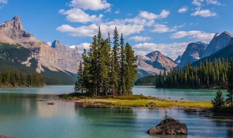 Nature Landscape Forest Mountain