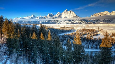 Nature Landscape Forest Mountain