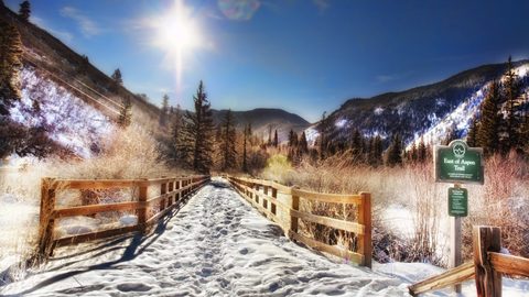 Nature Landscape Forest Mountain