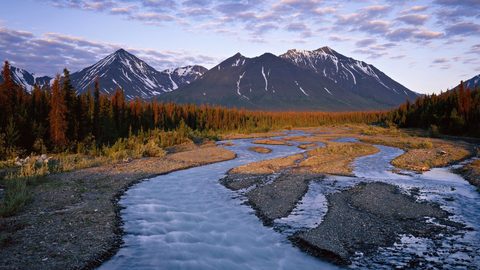 Nature Landscape Forest Mountain