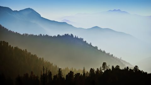 Nature Landscape Forest Mountain