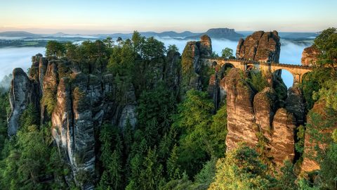 Nature Landscape Forest Mountain