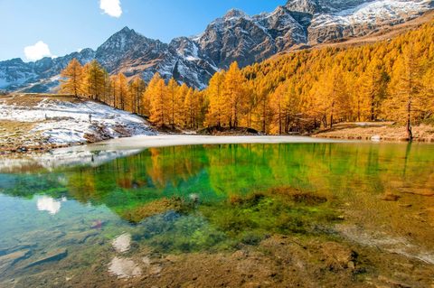 Nature Landscape Forest Mountain