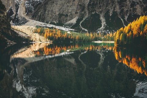 Nature Landscape Forest Mountain
