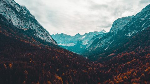 Nature Landscape Forest Mountain