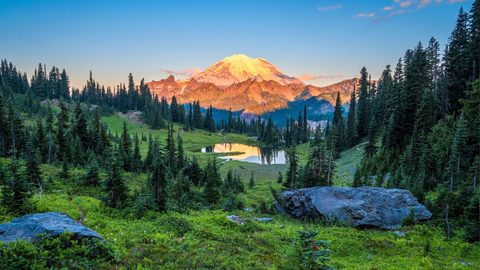 Nature Landscape Forest Mountain