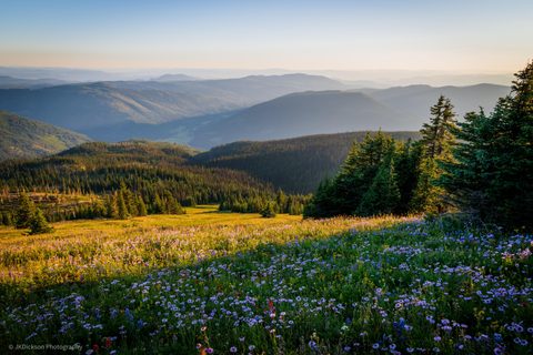 Nature Landscape Forest Mountain