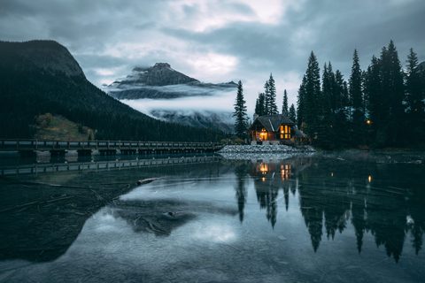 Nature Landscape Forest Mountain