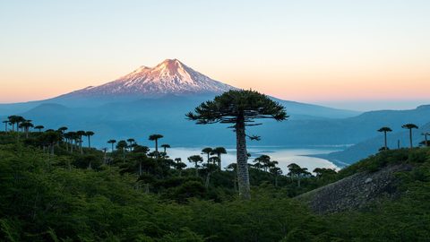 Nature Landscape Forest Mountain