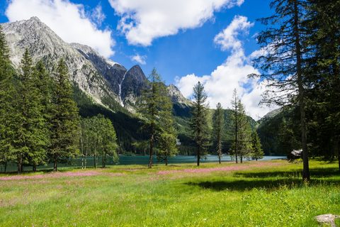 Nature Landscape Forest Mountain