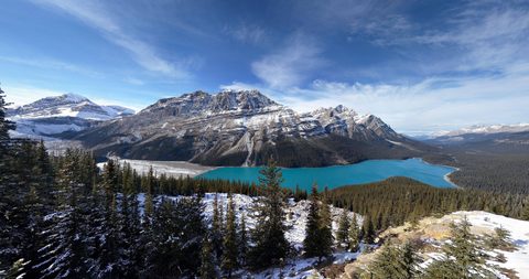 Nature Landscape Forest Mountain