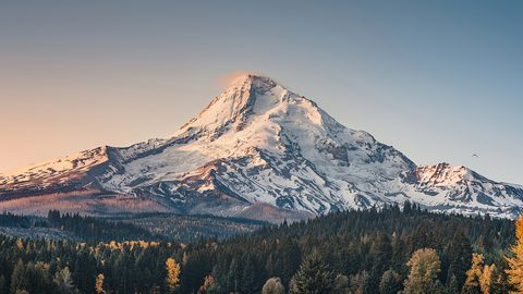 Nature Landscape Forest Mountain