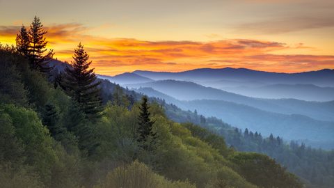 Nature Landscape Forest Mountain