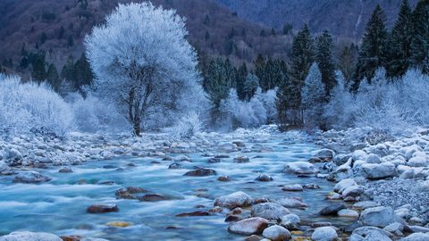 Nature Landscape Forest Mountain