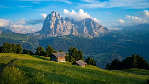 Nature Landscape Forest Mountain