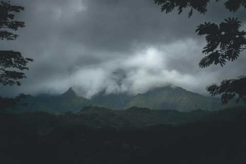 Nature Landscape Forest Mountain