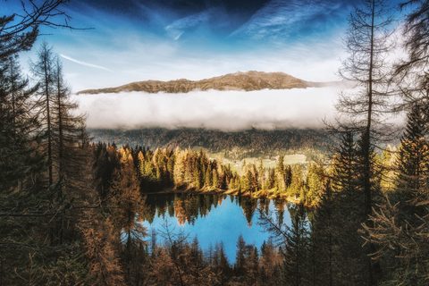 Nature Landscape Forest Mountain
