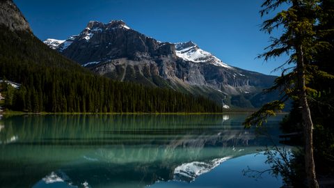 Nature Landscape Forest Mountain