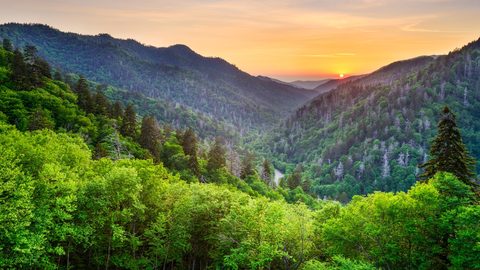 Nature Landscape Forest Mountain