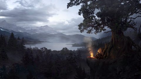 Nature Landscape Forest Mountain