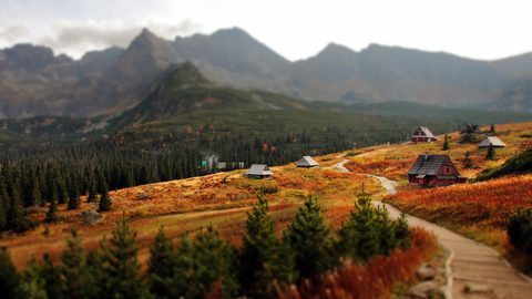 Nature Landscape Forest Mountain