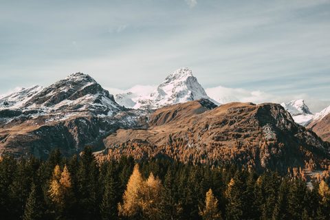 Nature Landscape Forest Mountain