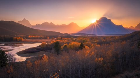 Nature Landscape Forest Mountain