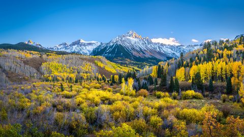 Nature Landscape Forest Mountain