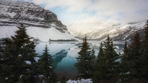 Nature Landscape Forest Mountain