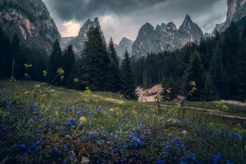 Nature Landscape Forest Mountain
