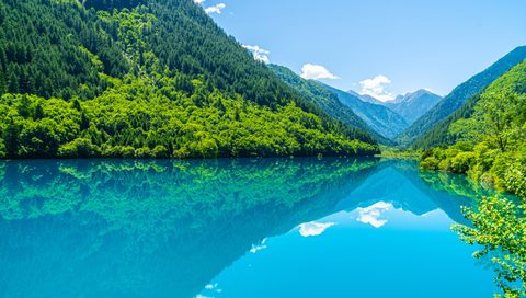Nature Landscape Forest Mountain