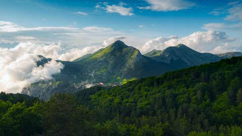 Nature Landscape Forest Mountain