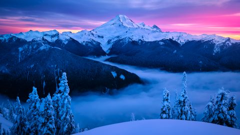 Nature Landscape Forest Mountain