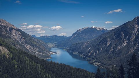 Nature Landscape Forest Mountain