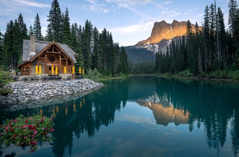 Nature Landscape Forest Mountain