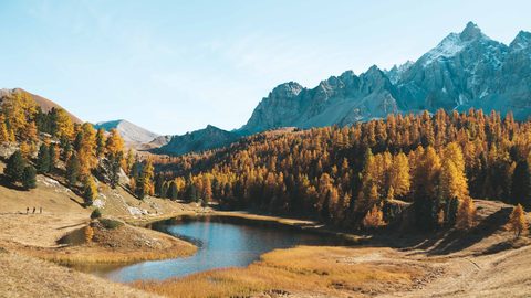 Nature Landscape Forest Mountain