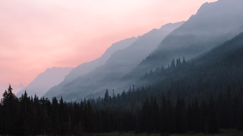 Nature Landscape Forest Mountain