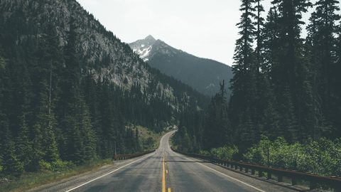 Nature Landscape Forest Mountain