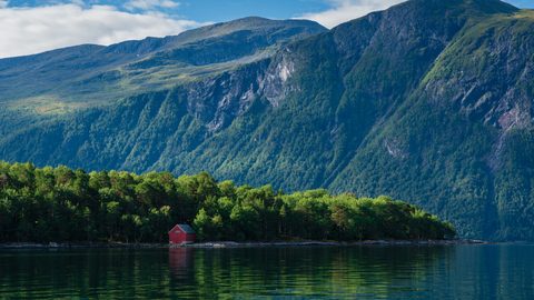 Nature Landscape Forest Mountain