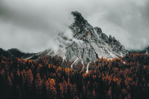Nature Landscape Forest Mountain