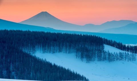 Nature Landscape Forest Mountain