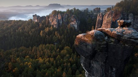 Nature Landscape Forest Mountain