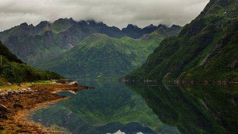Nature Landscape Forest Mountain